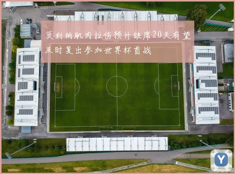 莫利纳肌肉拉伤预计缺席20天有望及时复出参加世界杯首战
