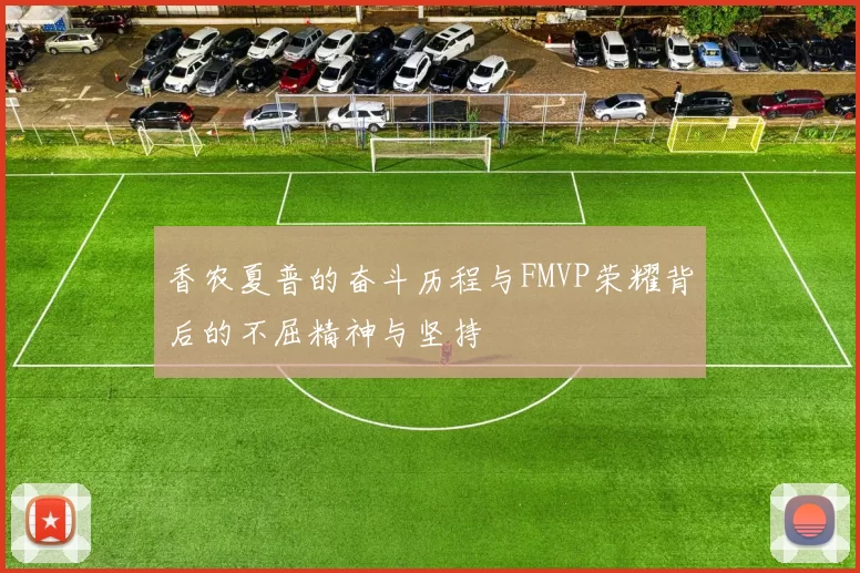 香农夏普的奋斗历程与FMVP荣耀背后的不屈精神与坚持